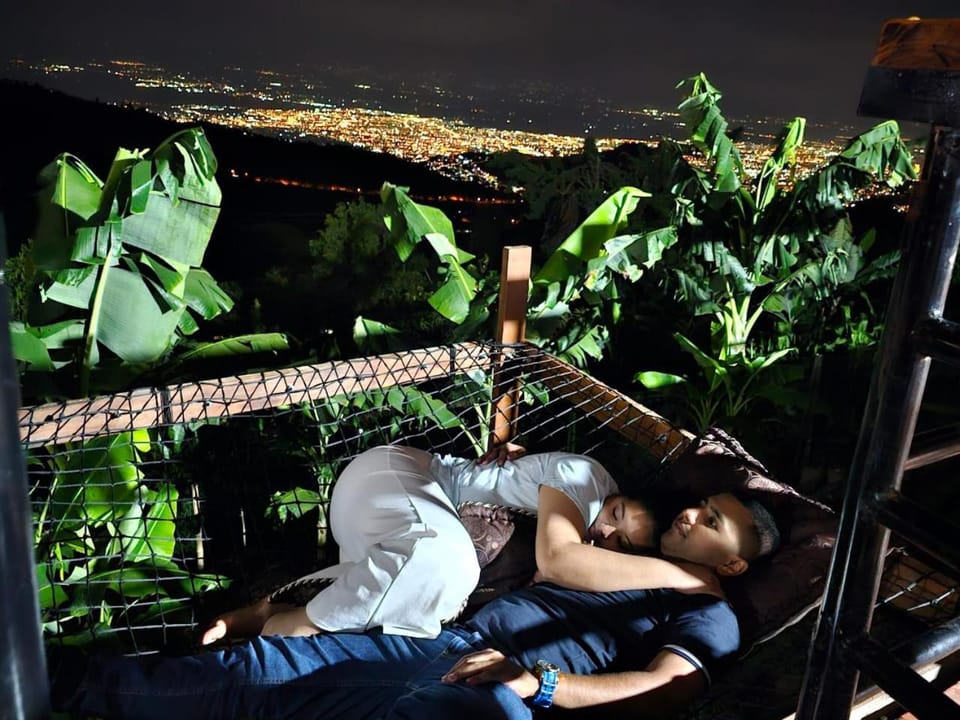 Night, Natural landscape, Garden, Garden view