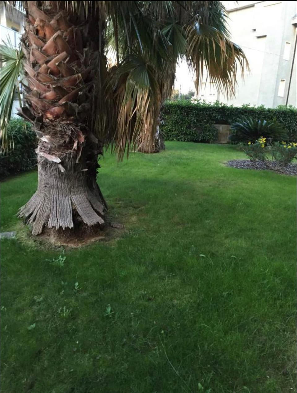 Property building, Garden