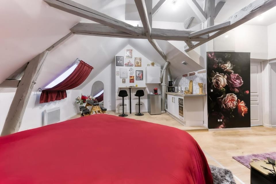 Les nuits défendues - Love room XXL privative - Maneva Appart Apartment in Île-de-France