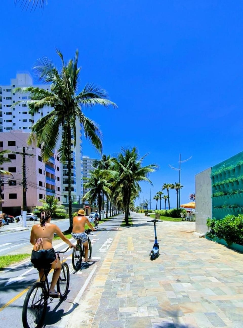 Apê Pé na areia Frente mar Apartment in State of São Paulo