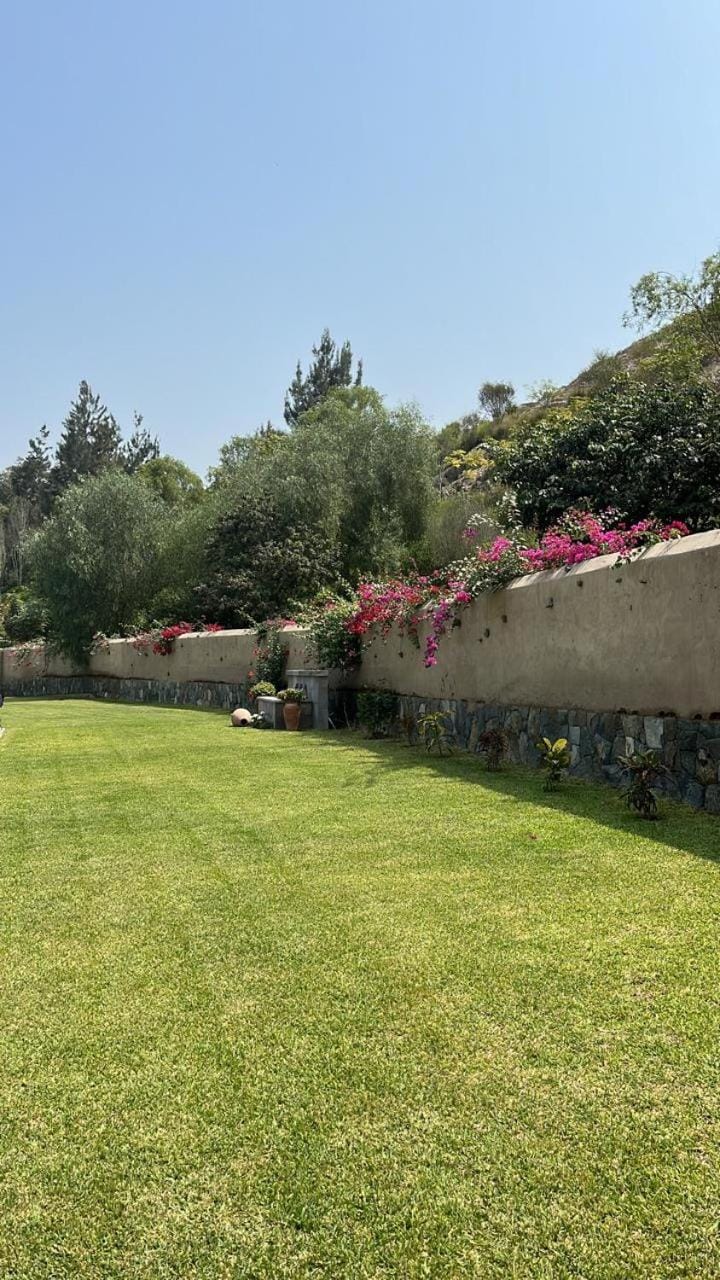 Garden, Garden view