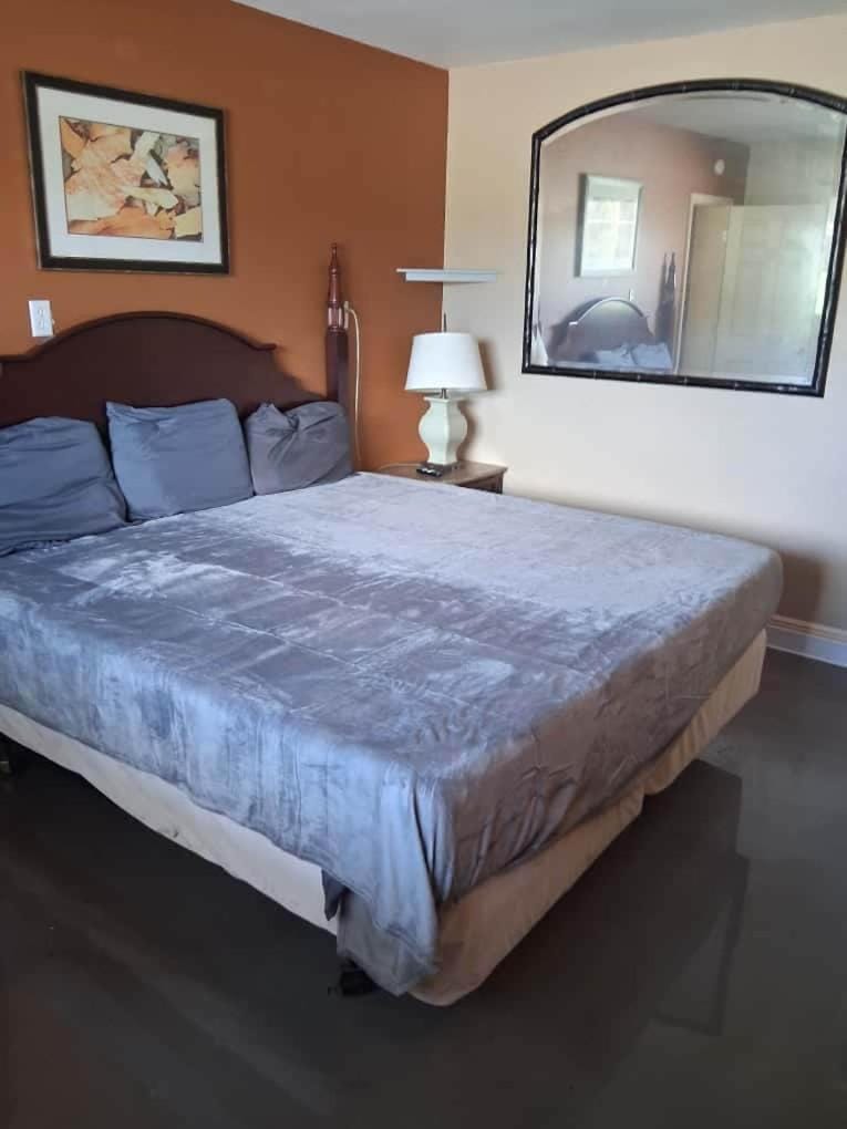 Gated - 1 King Bed 1 Bath Apt with Full Kitchen 107 Apartment in Baton Rouge