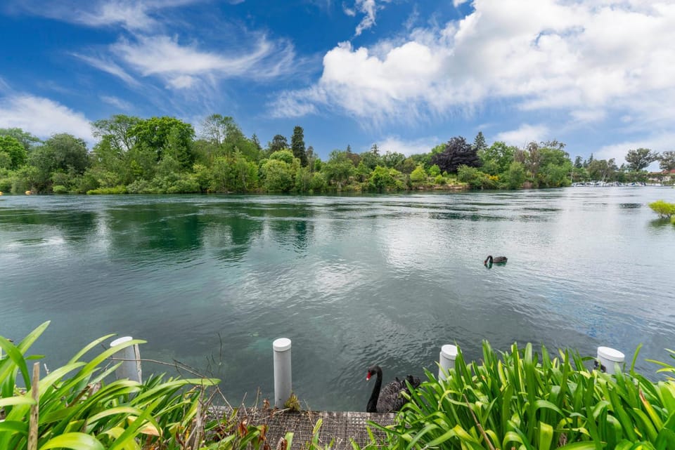 Spring, Day, Natural landscape, Lake view, River view