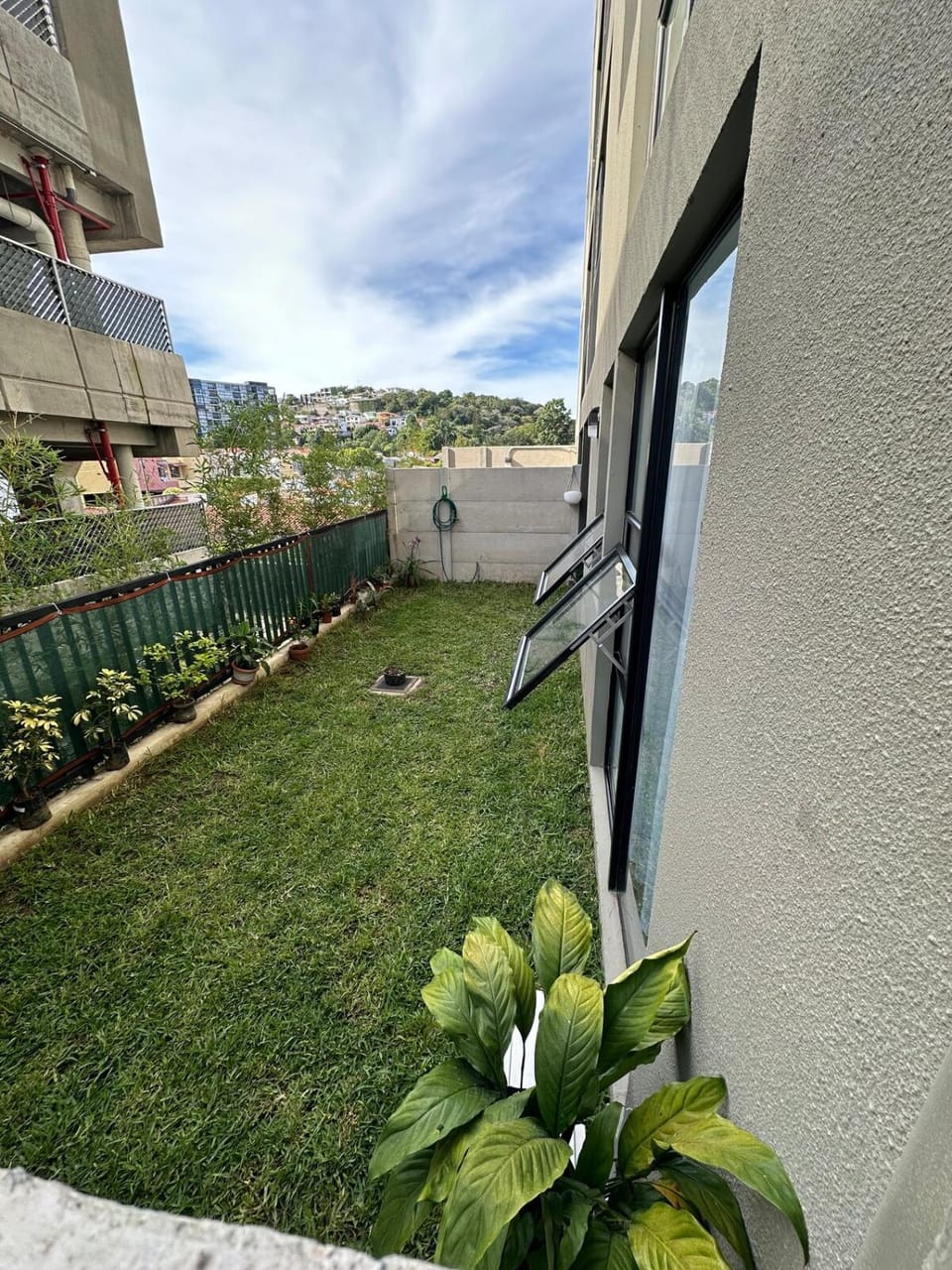 Garden, Garden, Garden view