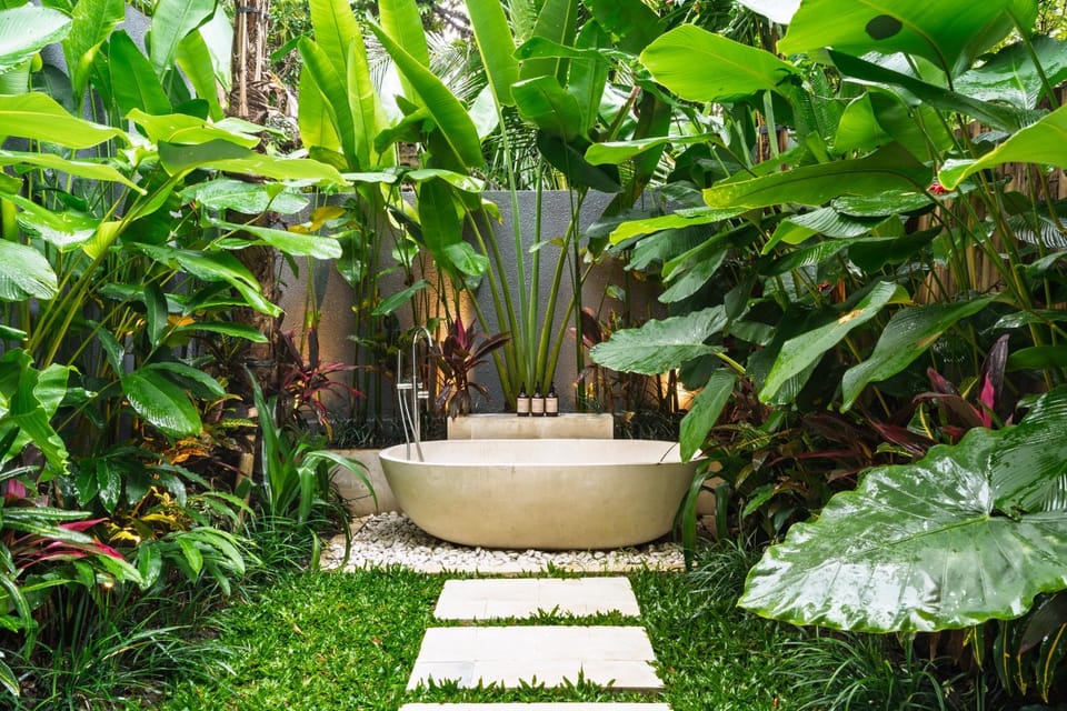 Natural landscape, Garden, Garden view