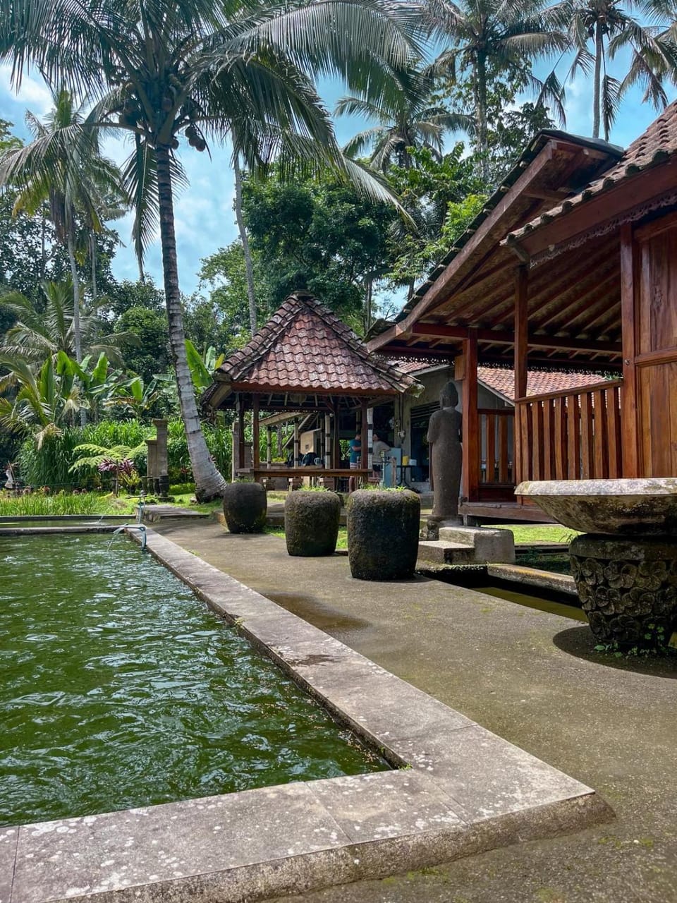 Property building, Natural landscape