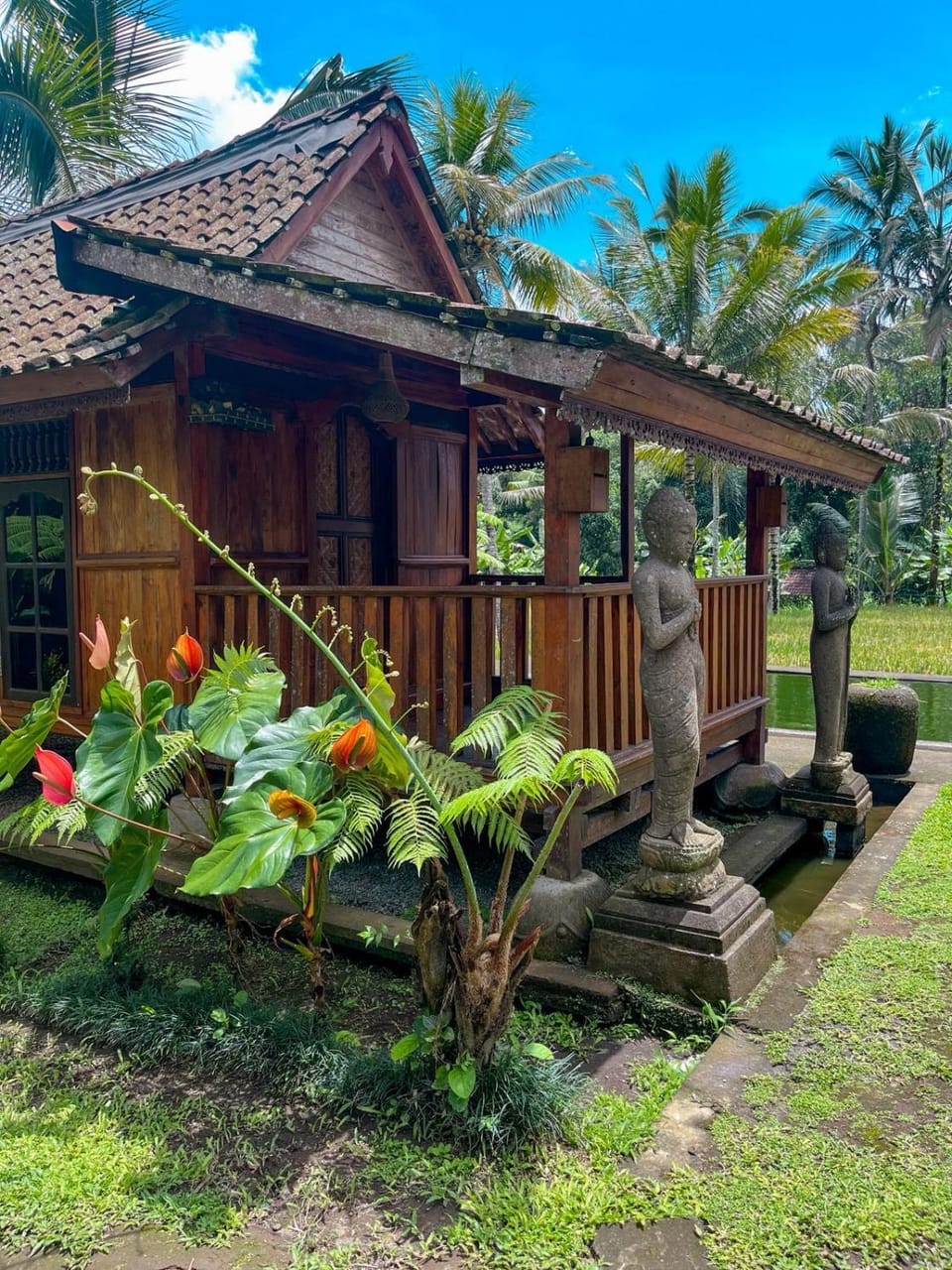 Property building, Garden