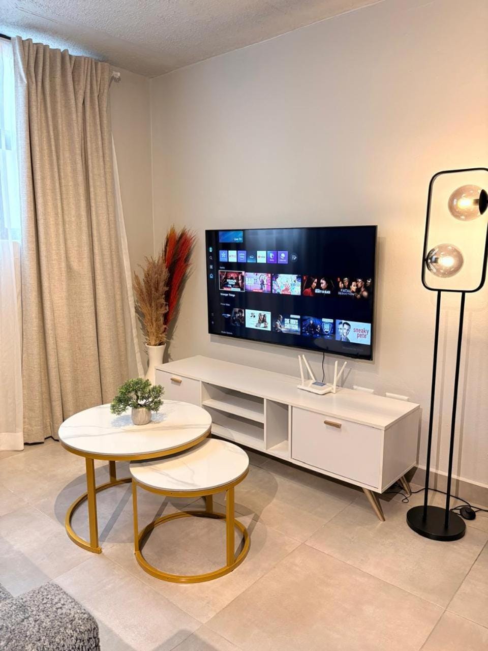 TV and multimedia