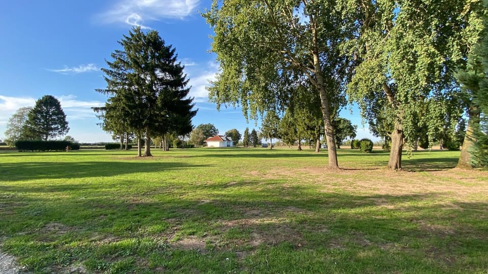 Natural landscape, Garden