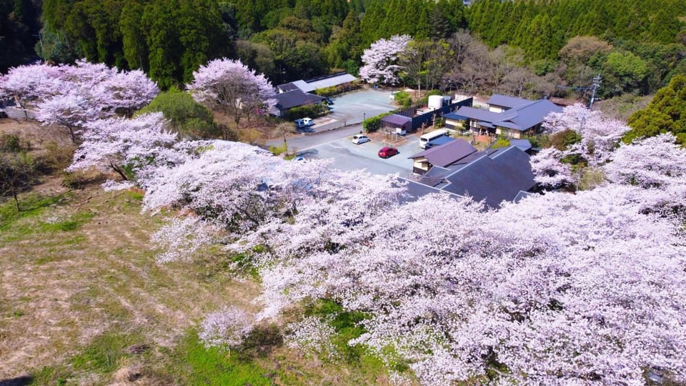 Property building, Spring, Natural landscape
