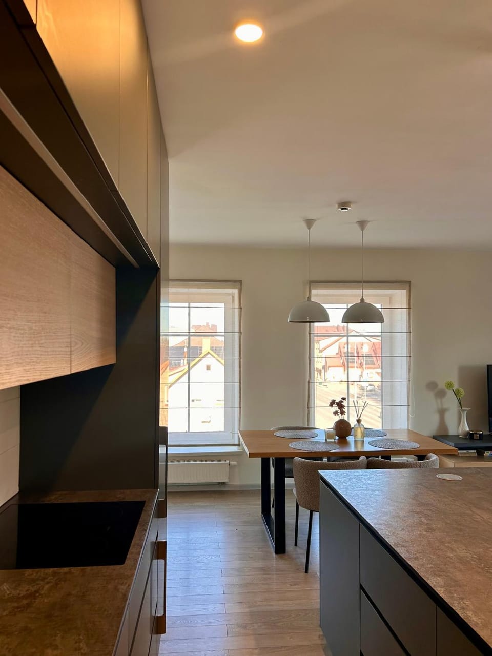 Living room, kitchen