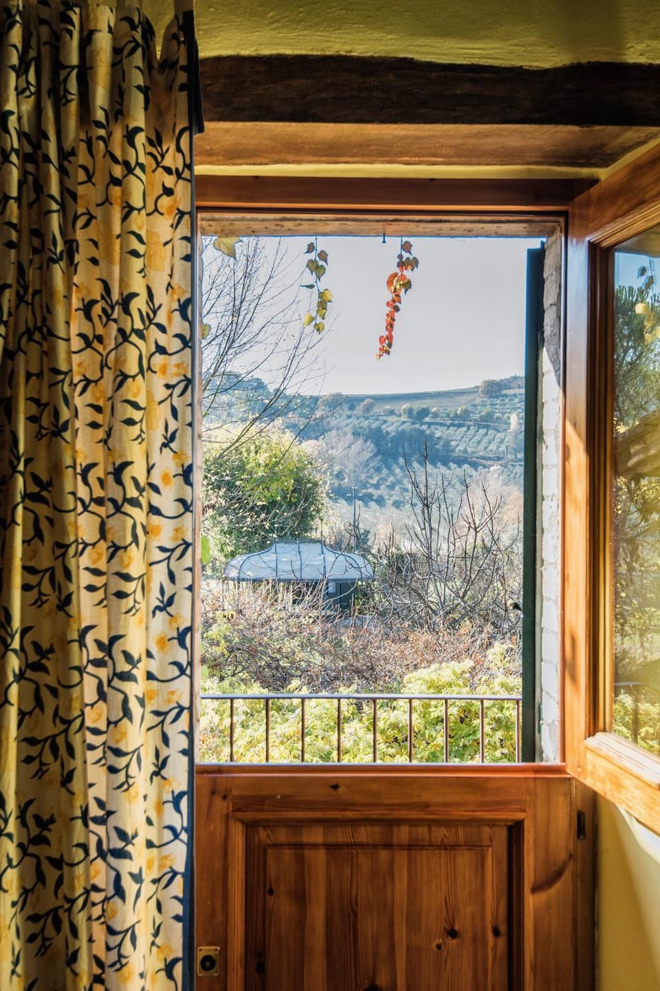 Garden view