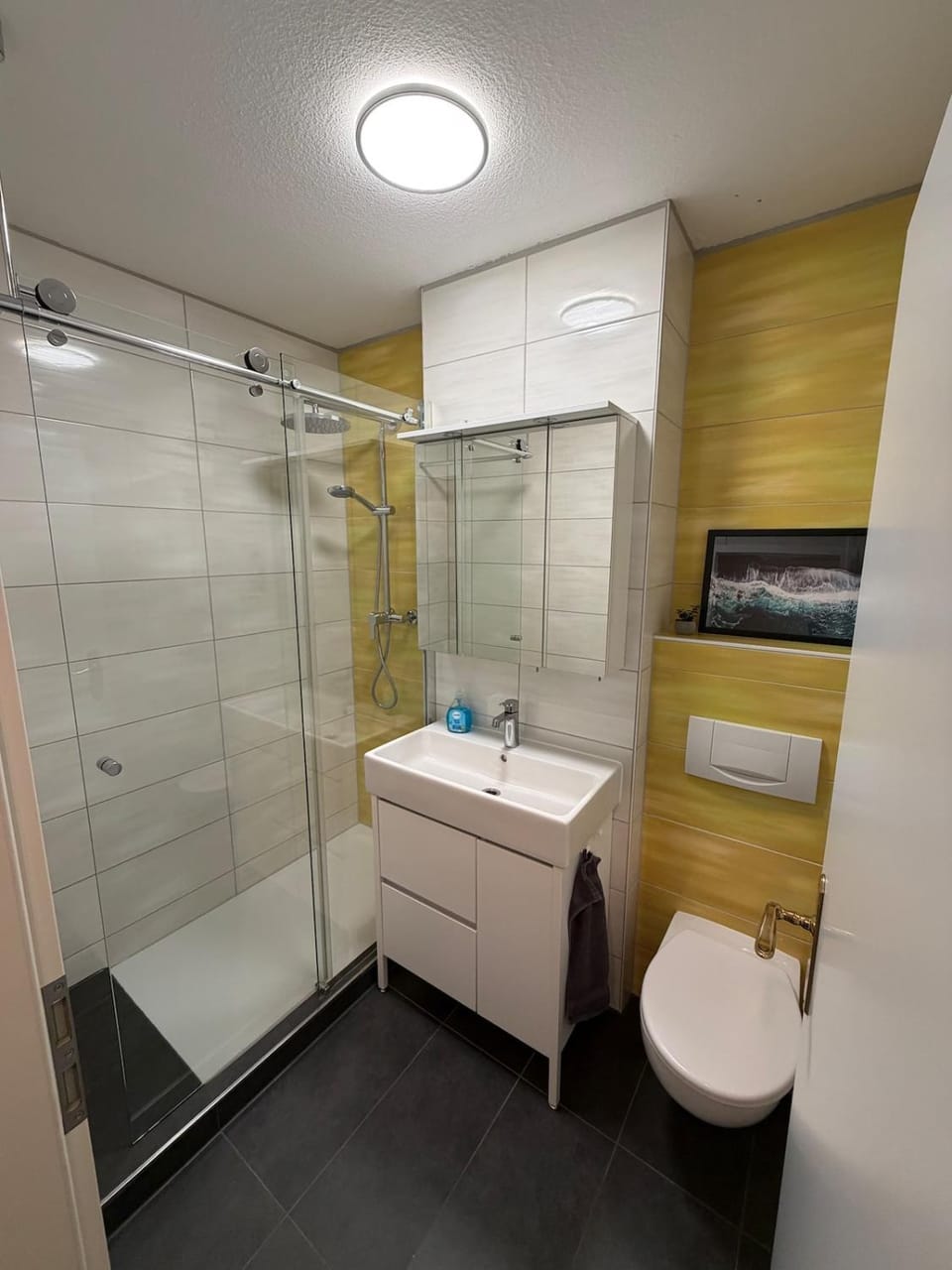 Shower, Toilet, Bathroom, towels