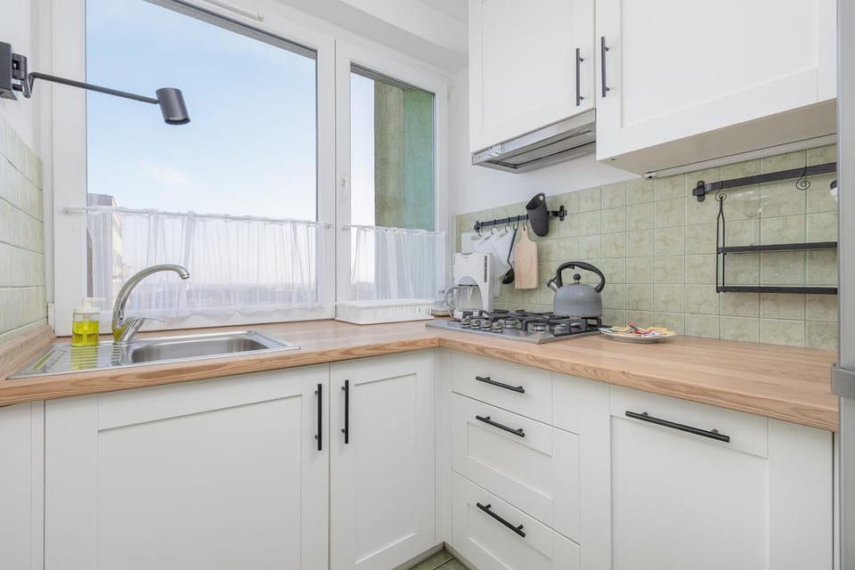 Kitchen or kitchenette, dishwasher, stove