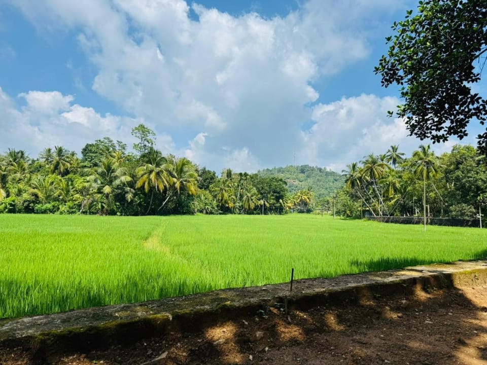 Nearby landmark, Natural landscape, View (from property/room)