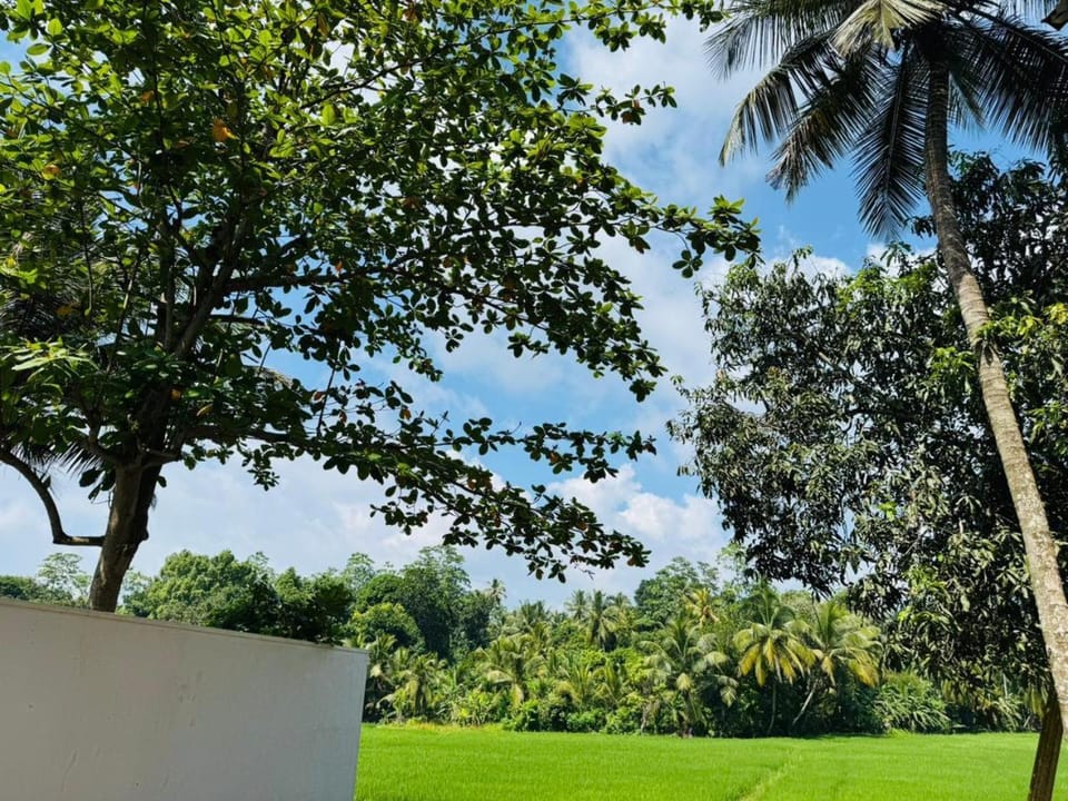Natural landscape