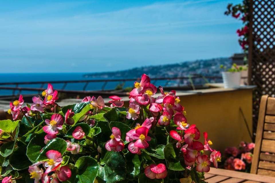 Penthouse on the Bay of Naples Apartment in Naples