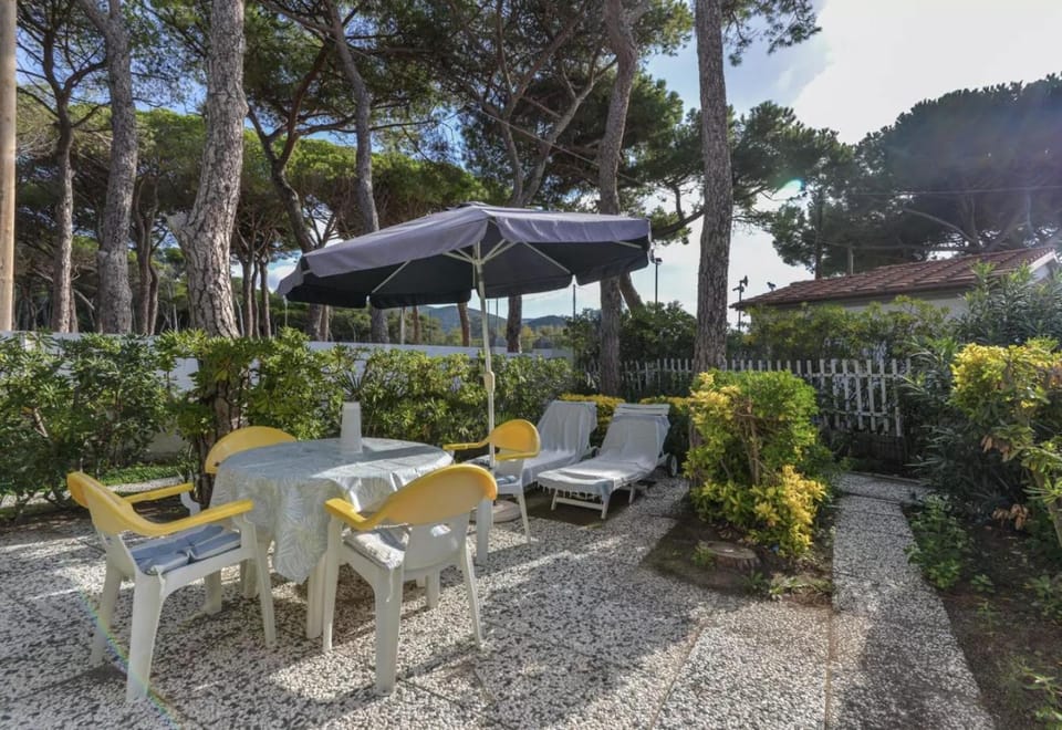 Garden, Garden