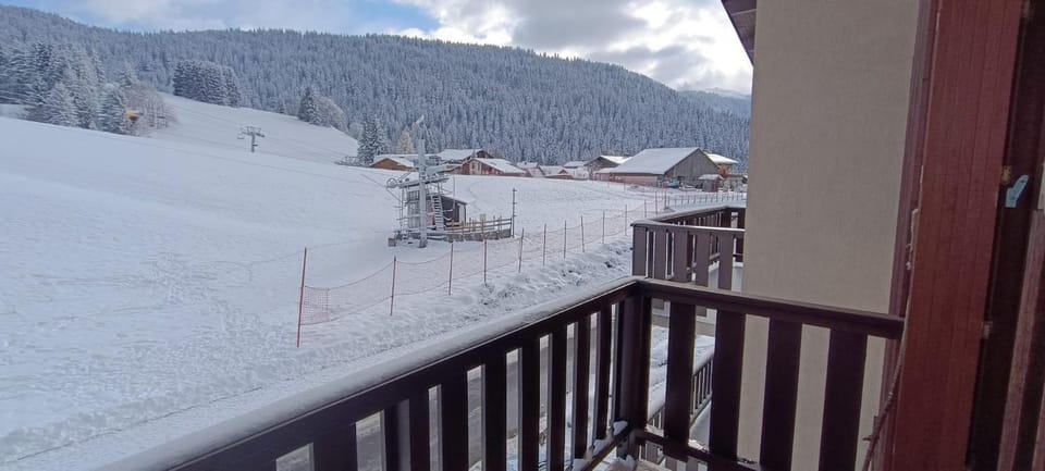 Le Bisanne - Au pied des pistes en famille Apartment in Haute-Savoie