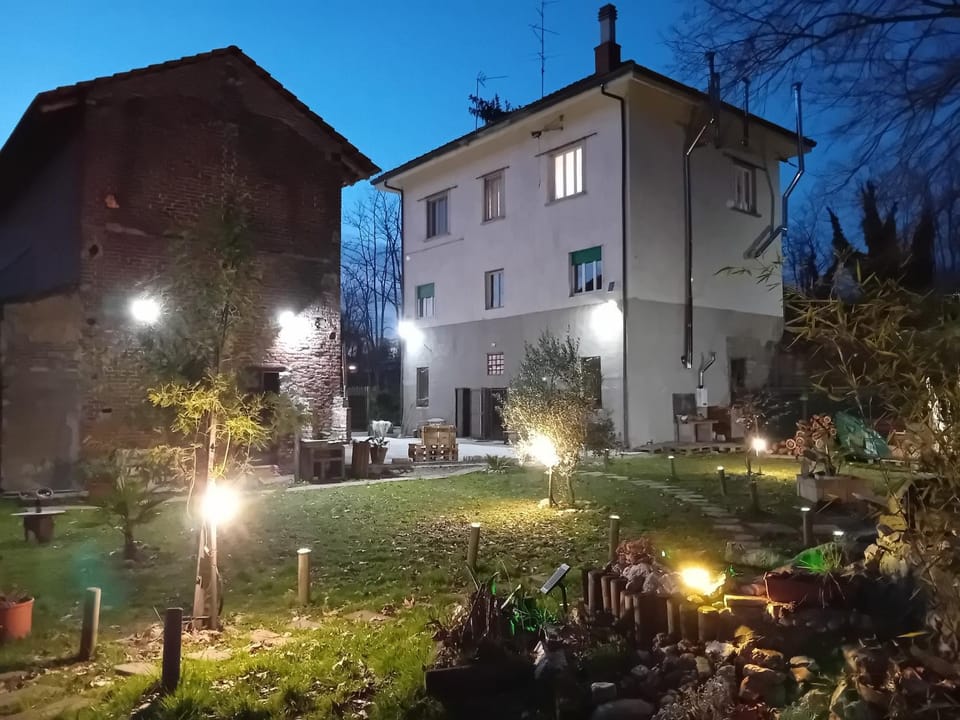 Garden, Garden view, Garden view