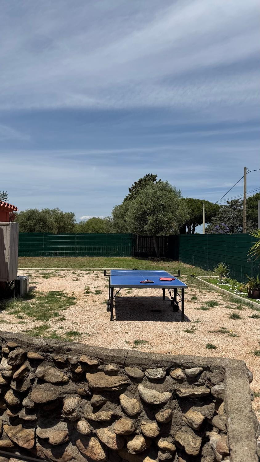 Table tennis