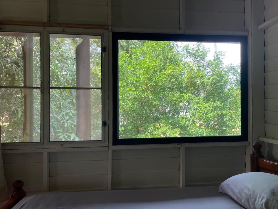 Garden, Bedroom