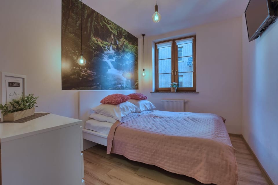 Apartamenty nad Łomnicą Apartment in Lower Silesian Voivodeship
