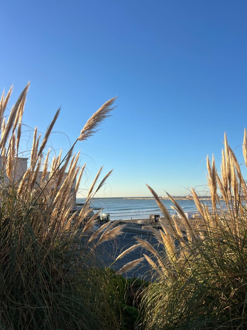 Departamento ideal en Playa Grande -Bernardo- Apartment in Mar del Plata