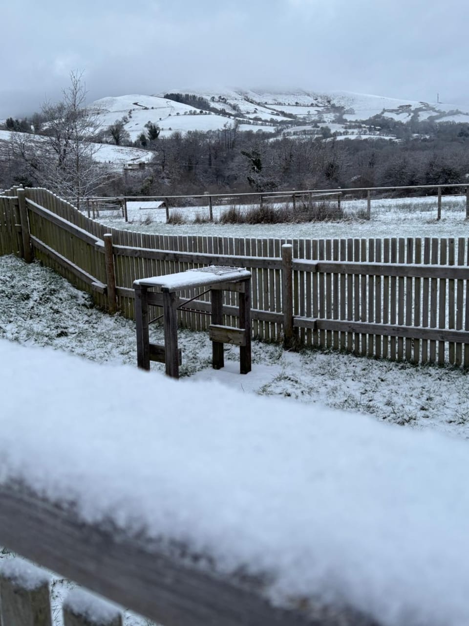 Deer Cabin-hot tub-dog friendly-mountain view Cabin in Wales