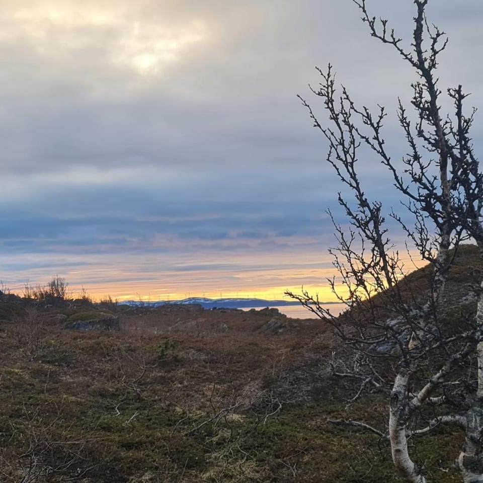 Paradis in Norway Apartment in Troms Og Finnmark