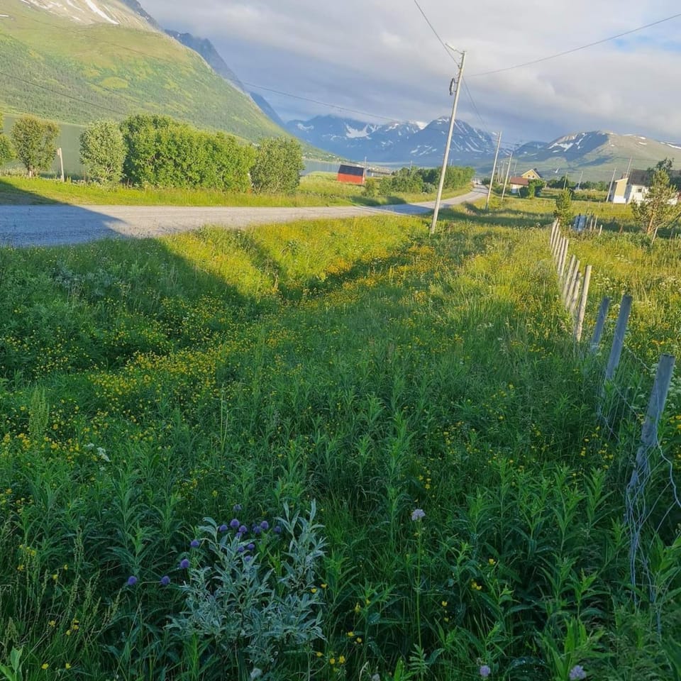Paradis in Norway Apartment in Troms Og Finnmark