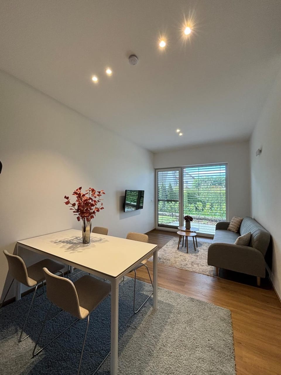 TV and multimedia, Living room, Seating area, Dining area