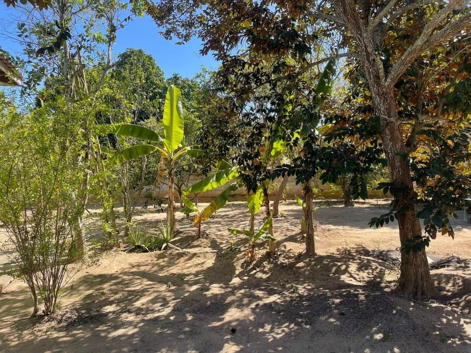 Sitio do Piquira House in State of Rio de Janeiro