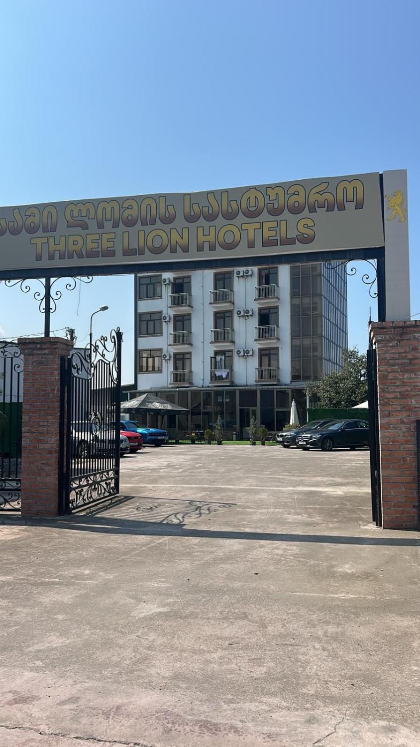 Three Lion Hotel Hotel in Batumi