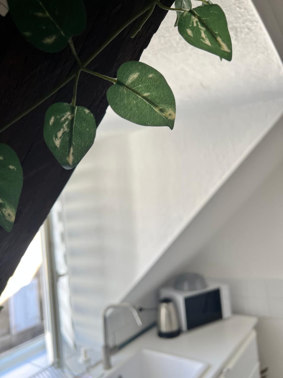 Urban Jungle T2 Pau tout à pied Apartment in Pau