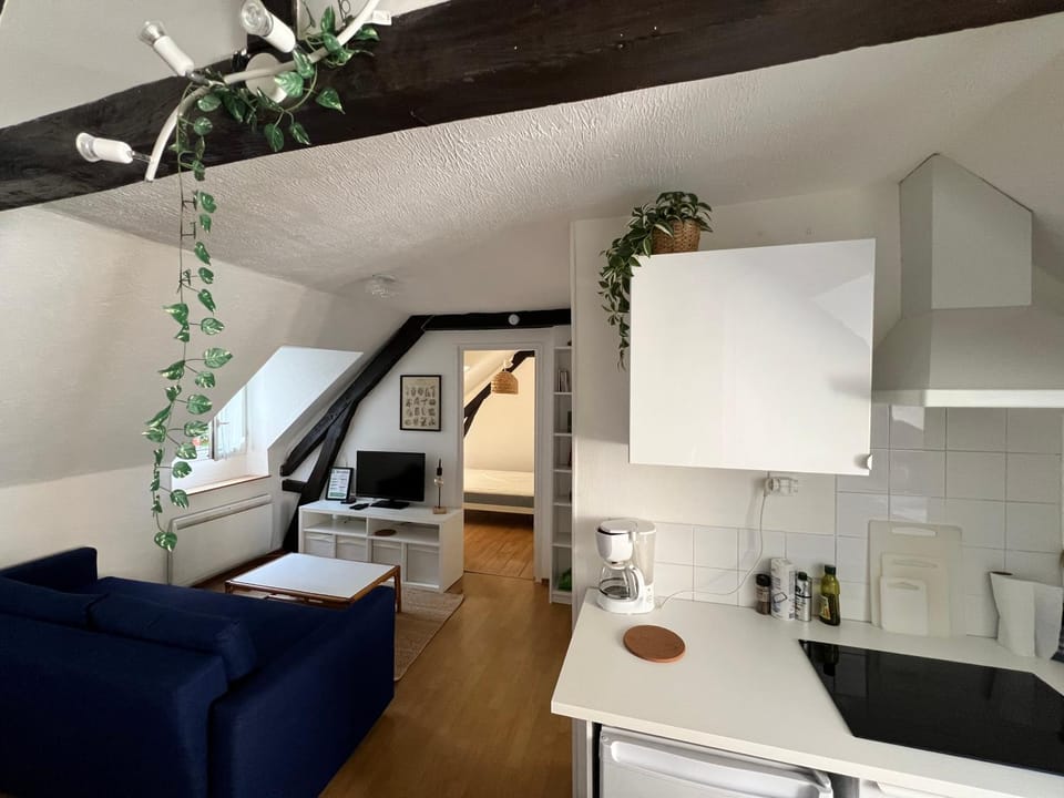 Urban Jungle T2 Pau tout à pied Apartment in Pau