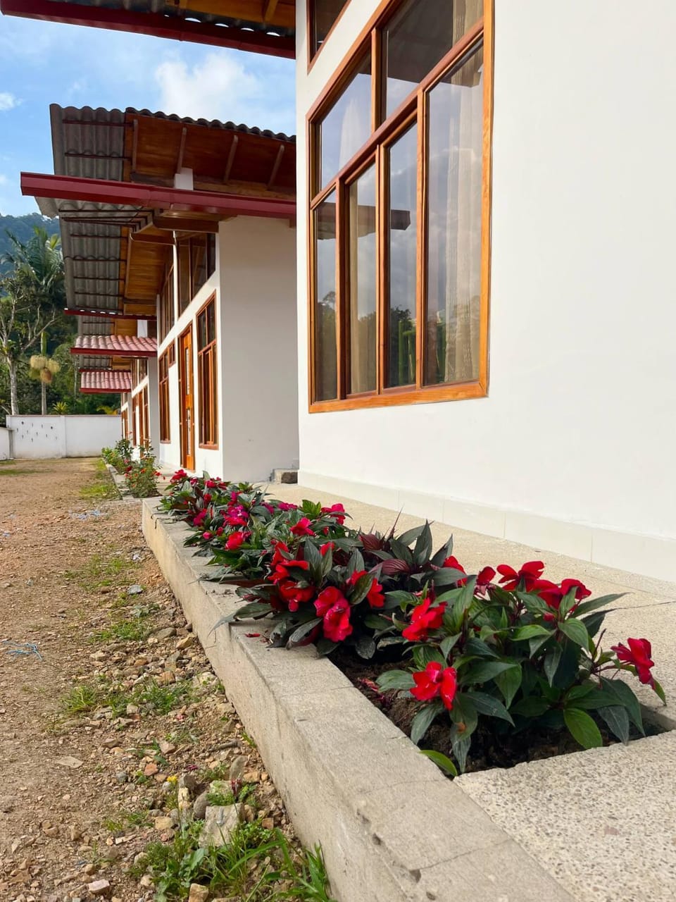 Property building, Day, Garden, Garden view