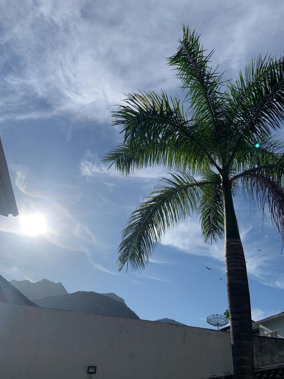 Day, Natural landscape, Garden, Mountain view