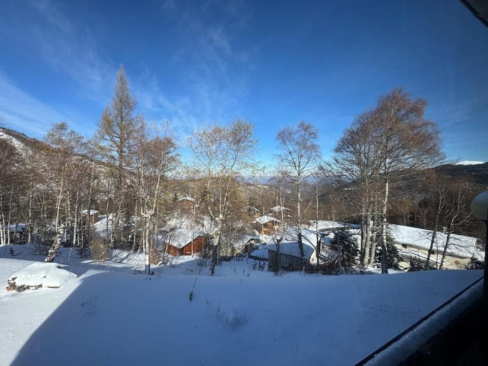 Comfortable mezzanine studio unlimited skiing Apartment in Occitanie