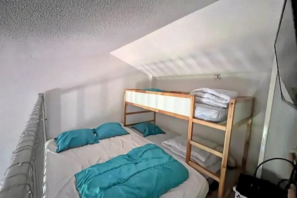 Comfortable mezzanine studio unlimited skiing Apartment in Occitanie