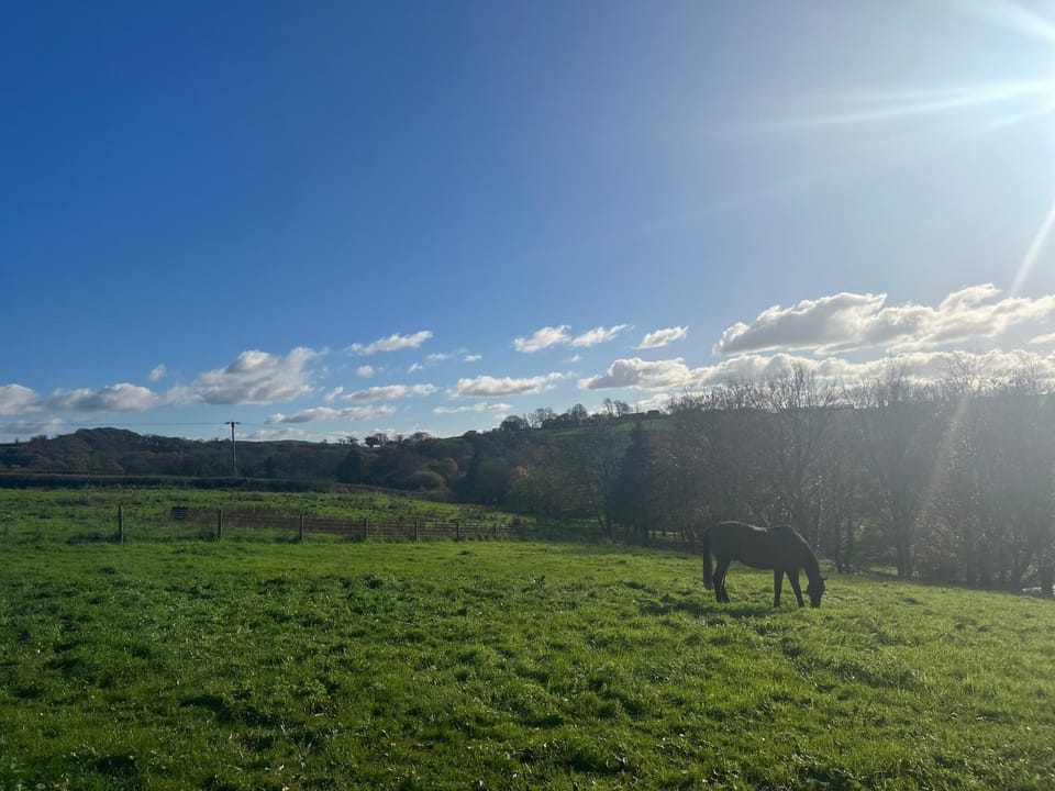 Natural landscape
