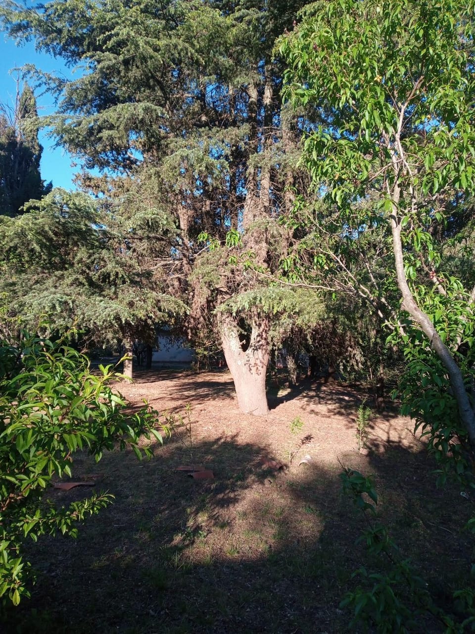 Casa Aleluna Chalet in Villa Giardino