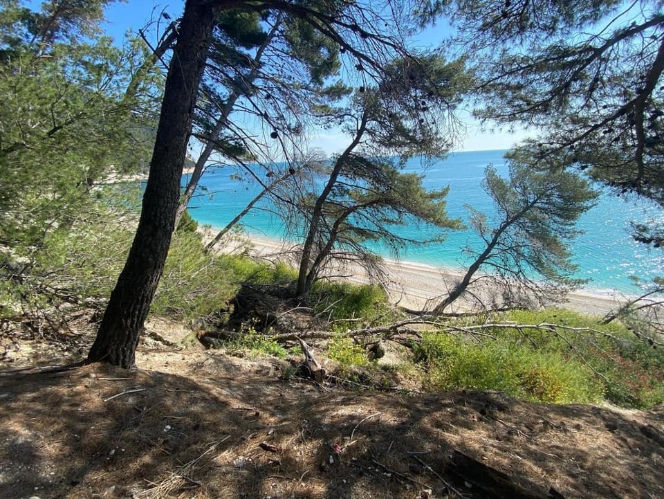 Sea view
