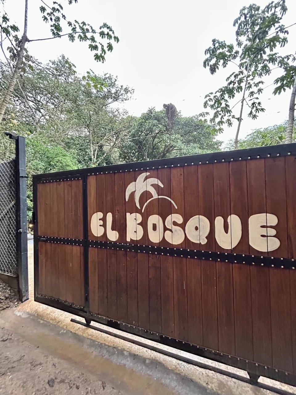Property logo or sign, Street view