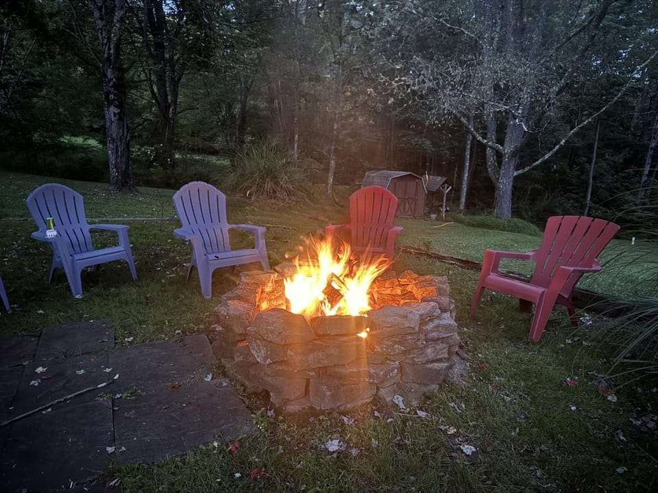 Natural landscape, Garden, Seating area