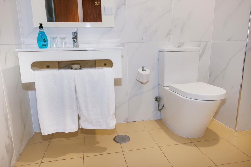 Toilet, Bathroom, towels