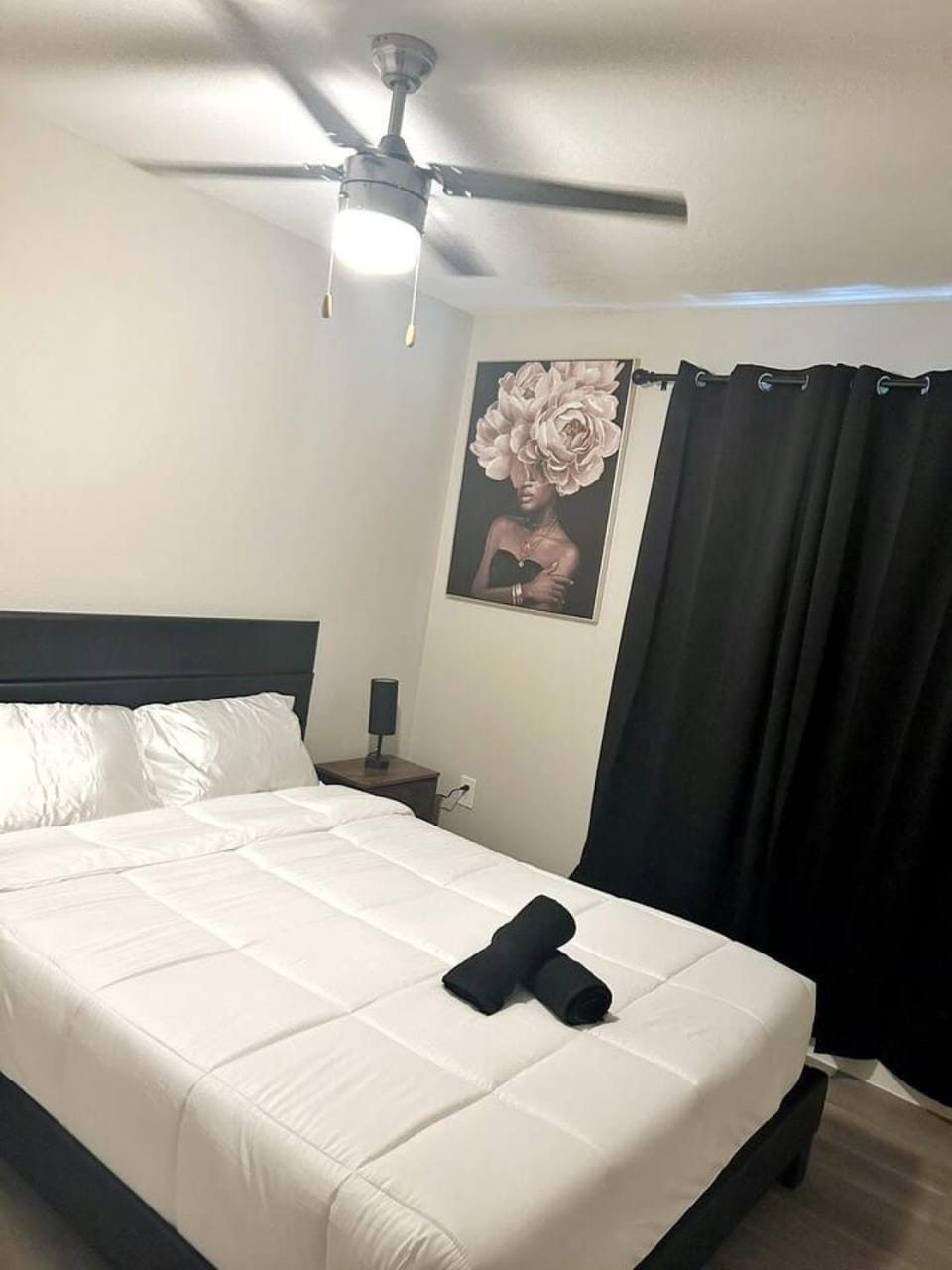 Charming 3Bed 2Bath apt in front of NRG and near TMC Apartment in Houston