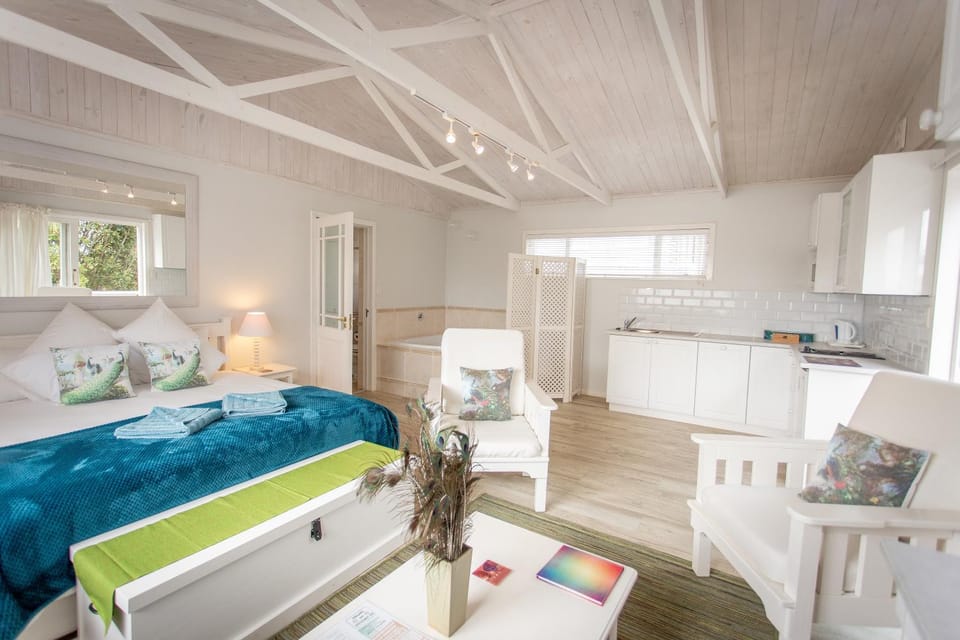 Bed, Kitchen or kitchenette, Living room, Photo of the whole room, Seating area, Bedroom