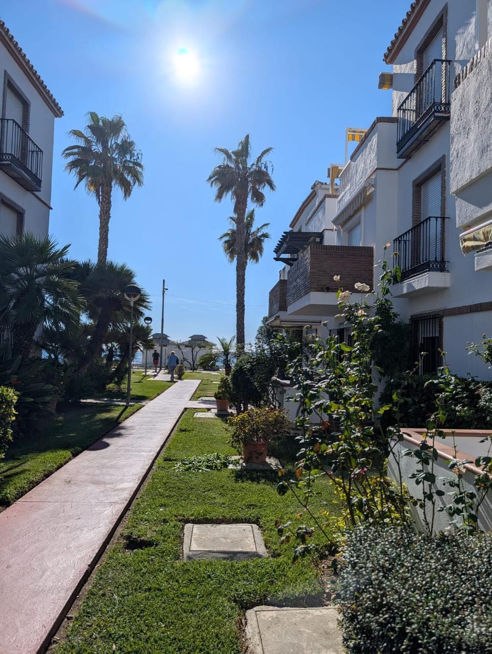Neighbourhood, Garden view