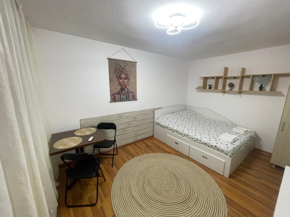 Studio Modest Apartment in Craiova